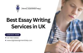 Best Essay Writing Services in UK