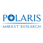 Competitive Landscape: Key Players in the PFAS-free Packaging Market