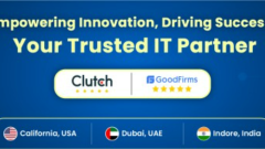 Custom Software Development Services USA | BestPeers