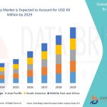 Fibrate Drugs Market: Unlocking Opportunities in Cardiovascular Risk Management