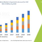 Nanomedicine Market: Transforming Healthcare with Innovation and Precision