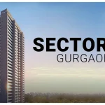 Commercial Property in Sector 49 Gurgaon