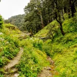 Jalori Pass Travel Guide and Tourism in Kullu, Himachal Pradesh