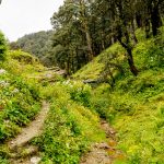 Jalori Pass Tourism in Kullu, Himachal Pradesh