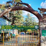 Shimla Water Catchment Wildlife Sanctuary Travel Guide and Tourism in Shimla, Himachal Pradesh