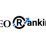 SEO Company India