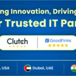 Custom Software Development Services USA | BestPeers