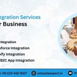 Netsuite Integration Services for Smarter Business