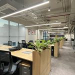 Office Space in Sector 50 Gurgaon – TrueAsset Consultancy Office Space in Sector 50 Gurgaon – TrueAsset Consultancy