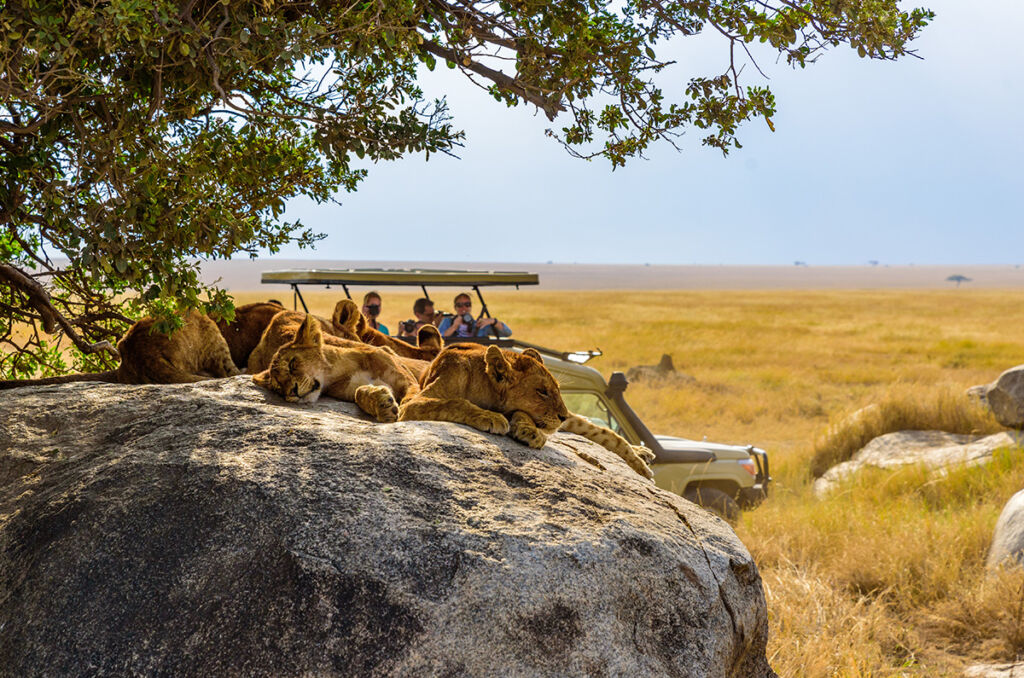 safari tanzania
