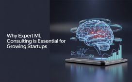 ML Consulting Services