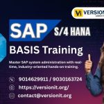 SAP FICO Training in Chennai – Version IT