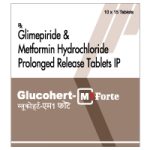 How Glucohert-M1 Forte Tablet PR Helps Control Blood Sugar Levels Effectively