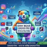 Demystifying Digital Growth: The Power of a Localized SMM Panel in 2026