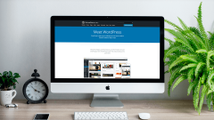 Custom WordPress Websites Built for Growth: Affordable Website Packages for Modern Businesses