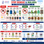 Is this just a regular fever — or could it be dengue