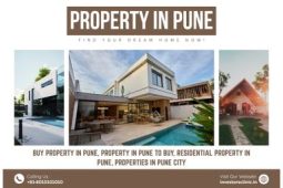 Property in Pune