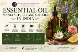 Essential Oil Manufacturer and Supplier in India