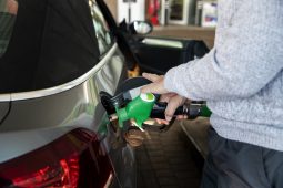 e20 fuel in india