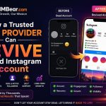 Building Instagram Growth With a Smart Followers Panel Strategy