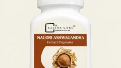 Ashwagandha Benefits: A Complete Guide to This Traditional Ayurvedic Herb