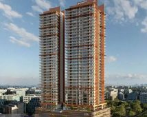 Shapoorji Pallonji Dualis
