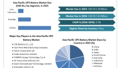 Asia Pacific UPS Battery Market Forecast to Grow at a 9.3% CAGR Through 2035