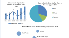 Belarus Potato Chips Market Expands with Demand for Convenient Snacks
