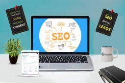 SEO Marketing Agency India